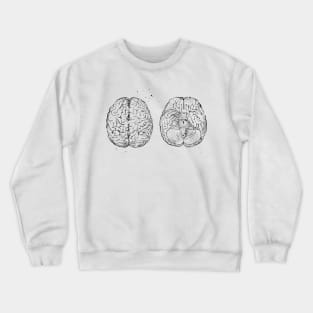 Human brain scheme Crewneck Sweatshirt